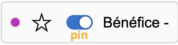 Image 4 — Icône pin pour activer l'ajout automatique